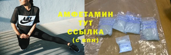 индика Медвежьегорск