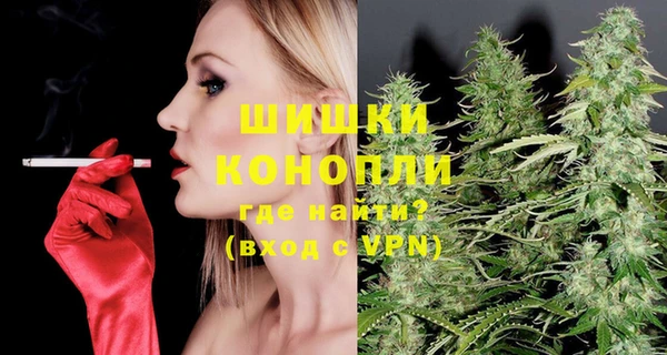 гидра Бронницы
