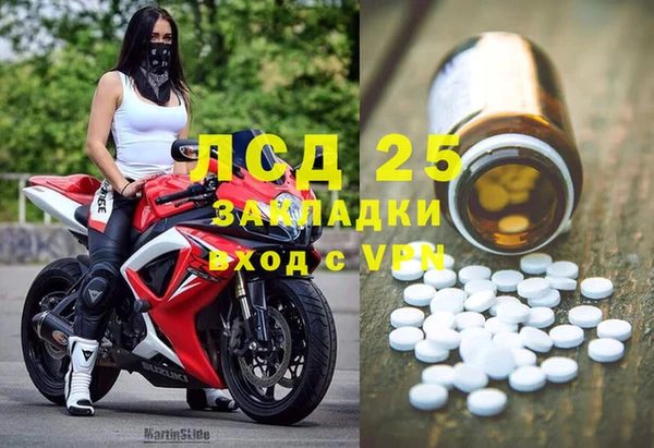 индика Медвежьегорск